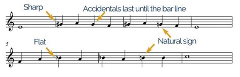 What are Accidentals in Music and Why Do They Sometimes Sound Like a Cat Walking on a Piano?